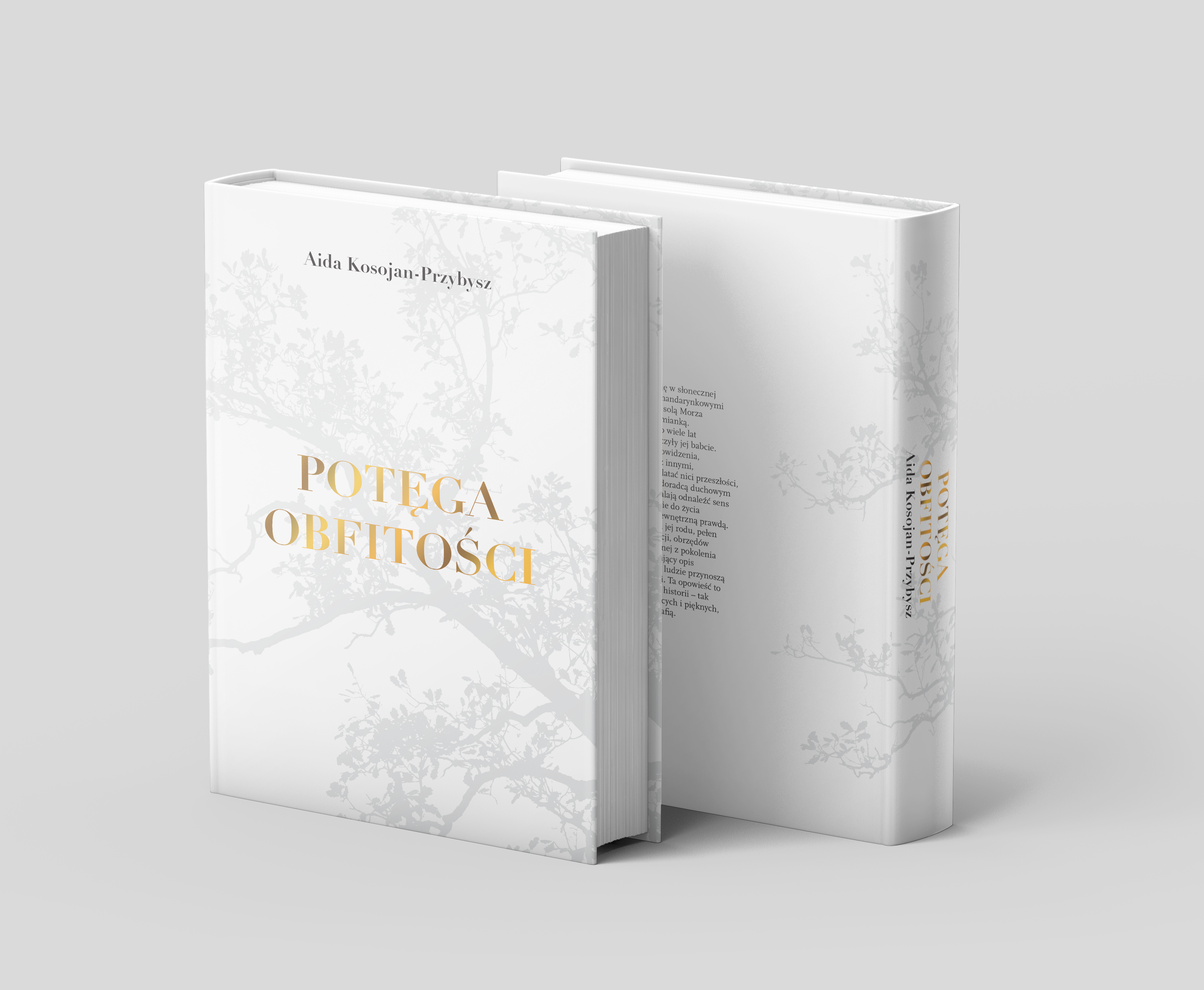 Potęga Obfitości - Książka